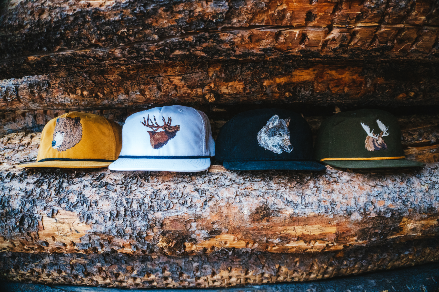 WildLifeCaps.png?v=1614380941